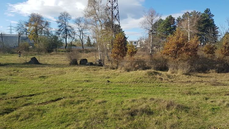 Съветникът с 2324 преференции ще сади дръвчета в неделя, кани и граждани
