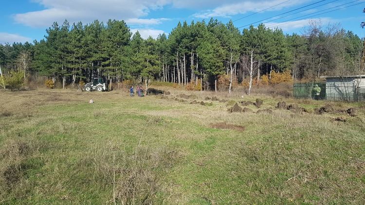 Съветникът с 2324 преференции ще сади дръвчета в неделя, кани и граждани