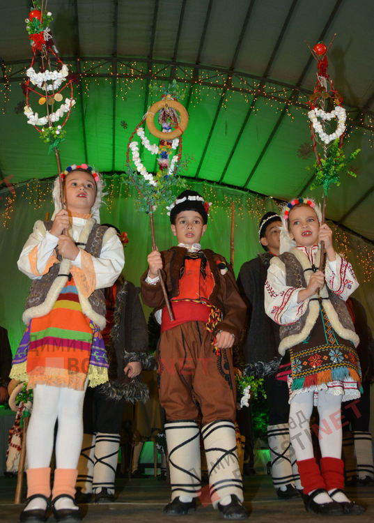 Дядо Коледа запали в Димитровград най-голямата жива елха в България