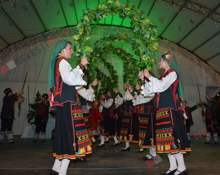 Дядо Коледа запали в Димитровград най-голямата жива елха в България