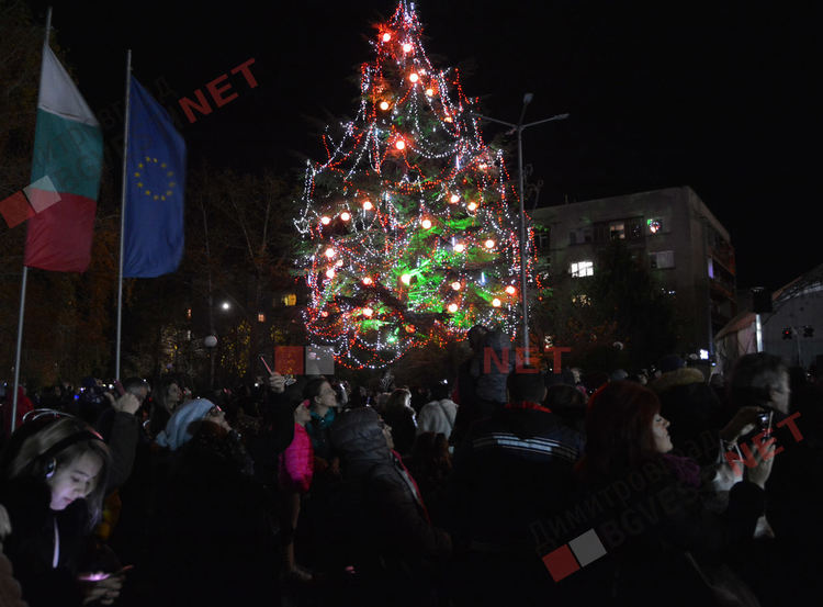 Дядо Коледа запали в Димитровград най-голямата жива елха в България