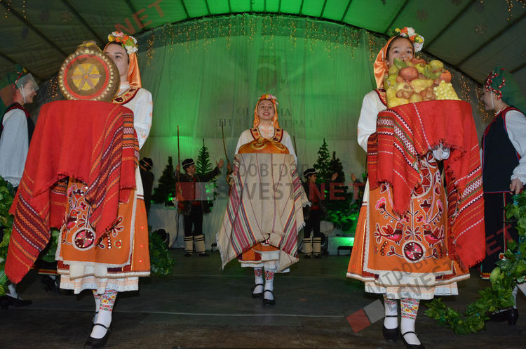 Дядо Коледа запали в Димитровград най-голямата жива елха в България