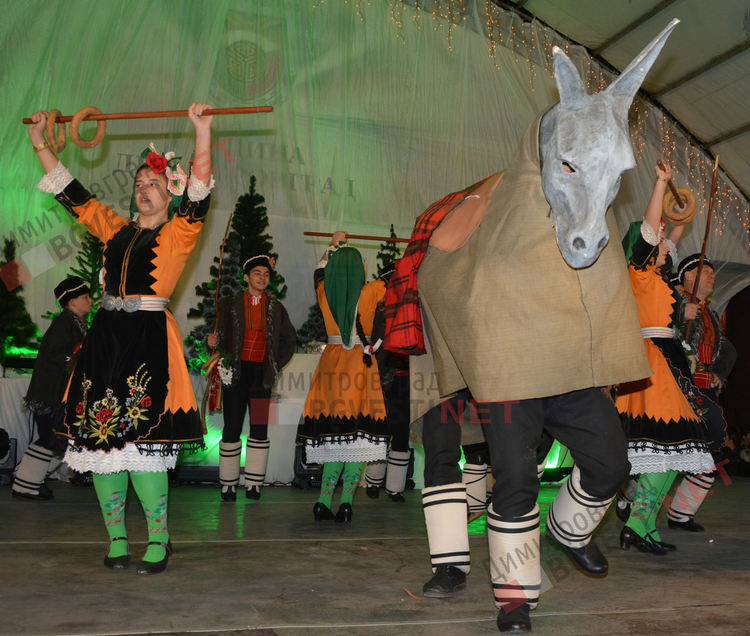 Дядо Коледа запали в Димитровград най-голямата жива елха в България