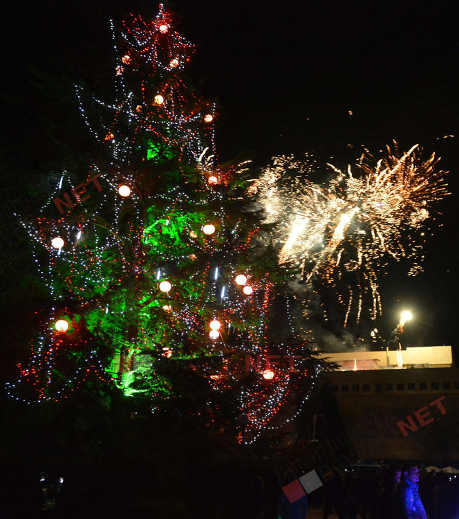 Дядо Коледа запали в Димитровград най-голямата жива елха в България