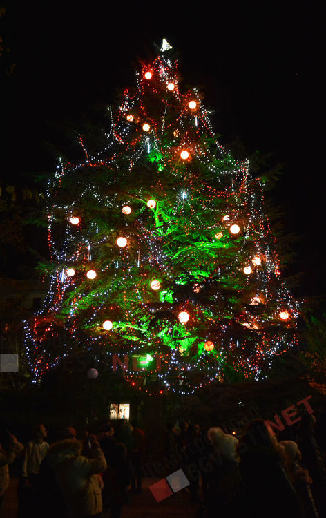 Дядо Коледа запали в Димитровград най-голямата жива елха в България