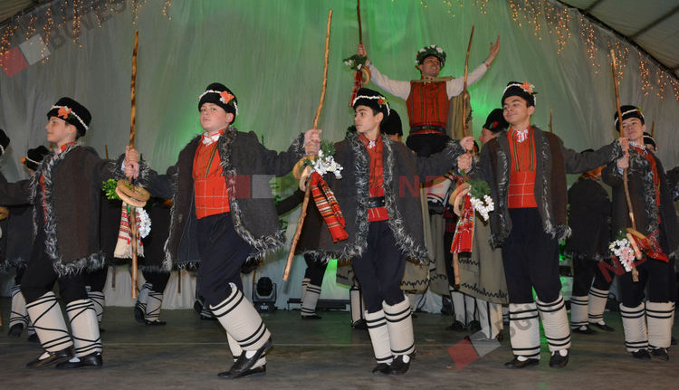 Дядо Коледа запали в Димитровград най-голямата жива елха в България