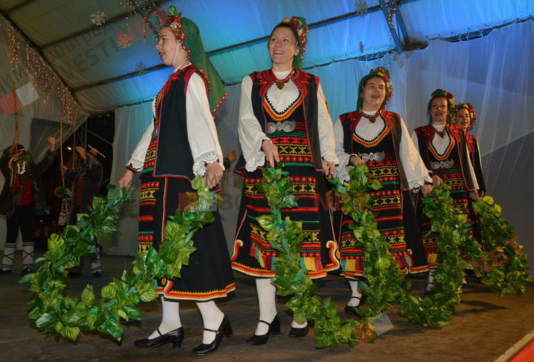 Дядо Коледа запали в Димитровград най-голямата жива елха в България