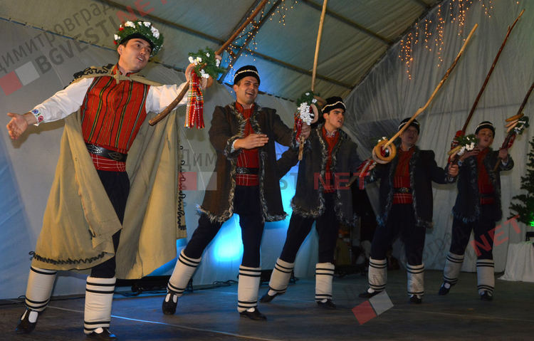 Дядо Коледа запали в Димитровград най-голямата жива елха в България