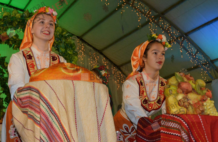 Дядо Коледа запали в Димитровград най-голямата жива елха в България