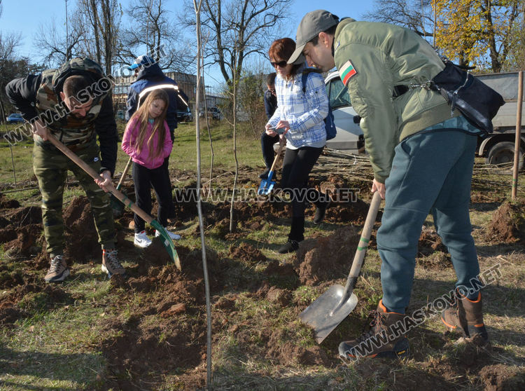 Съветникът Минев очаква по 100 кг мед годишно от засадената гора край Хасково