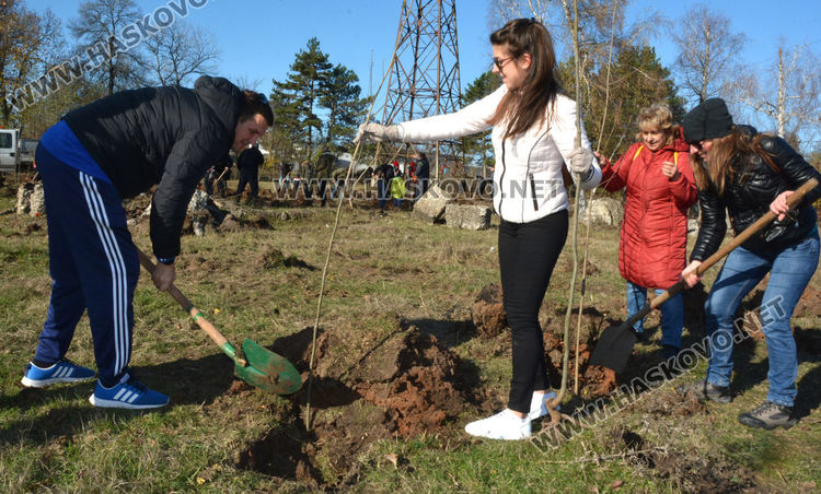 Съветникът Минев очаква по 100 кг мед годишно от засадената гора край Хасково