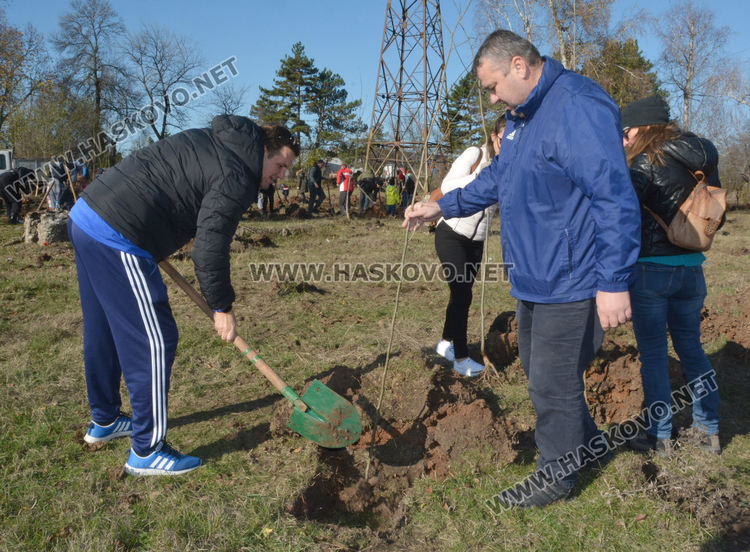 Съветникът Минев очаква по 100 кг мед годишно от засадената гора край Хасково
