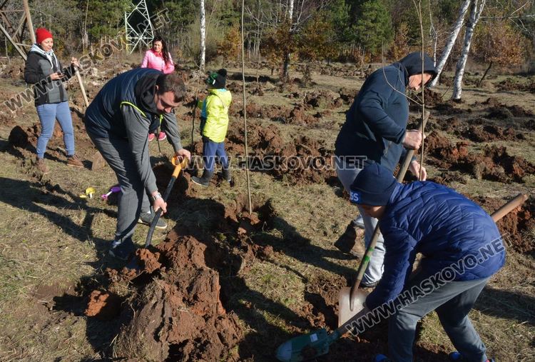 Съветникът Минев очаква по 100 кг мед годишно от засадената гора край Хасково