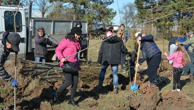 Съветникът Минев очаква по 100 кг мед годишно от засадената гора край Хасково