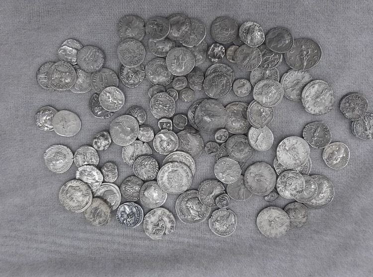 Снимки: МВР