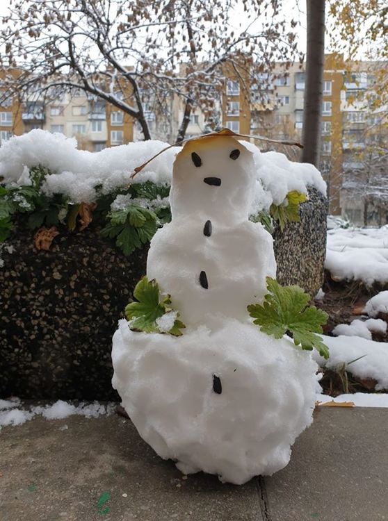 снимка: фейсбук