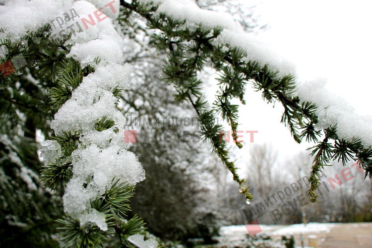 първи сняг в парк Марица