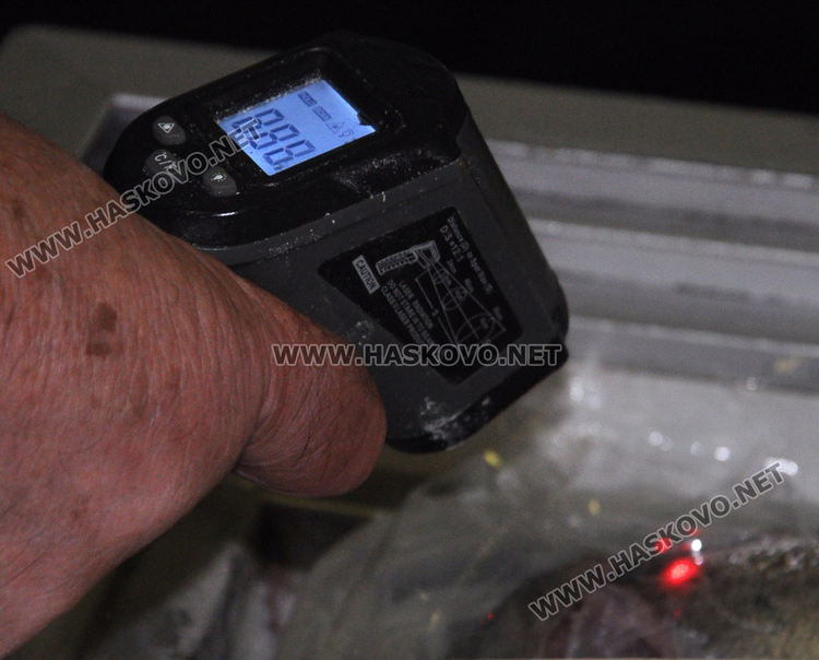 Проверяват рибните магазини за Никулден, прясната риба се познава по очите