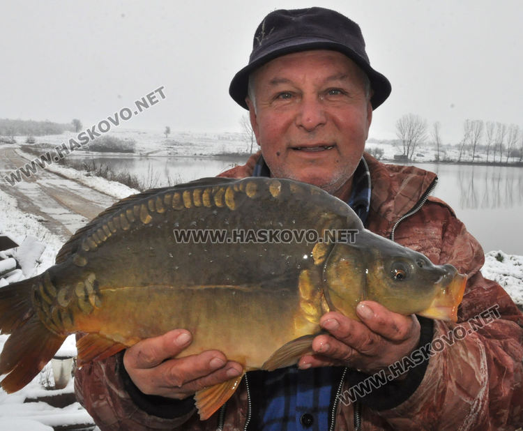 5 лева е килограмът на пресния шаран от язовира преди Никулден