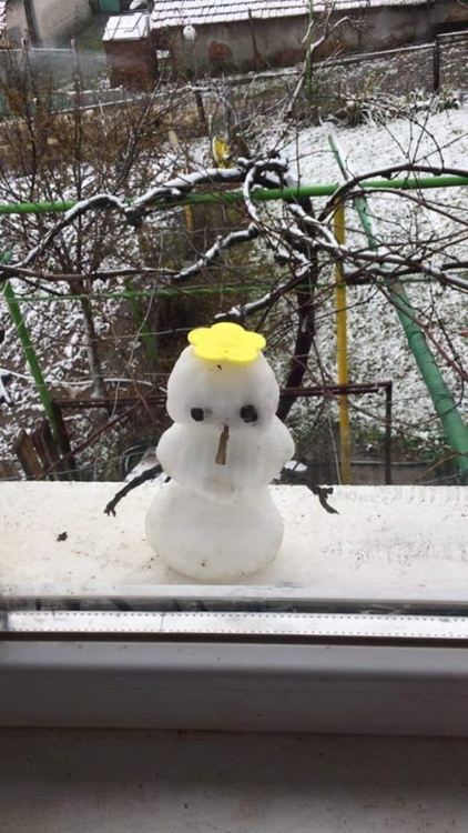 снимка: фейсбук