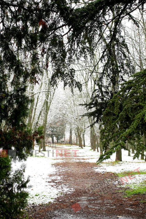 първи сняг в парк Марица