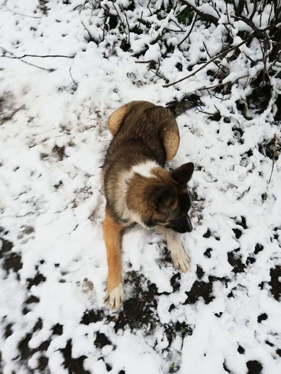 снимка: фейсбук