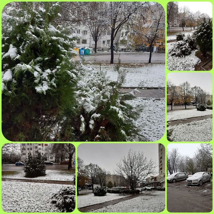 снимка: фейсбук