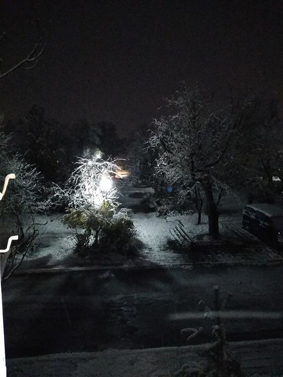 снимка: фейсбук