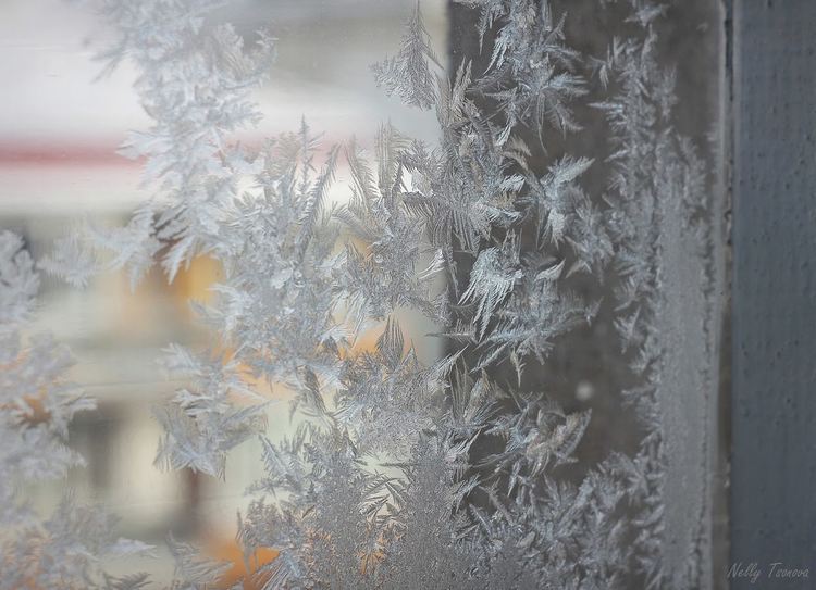 Димитровград осъмна заскрежен, през деня ще се затопли