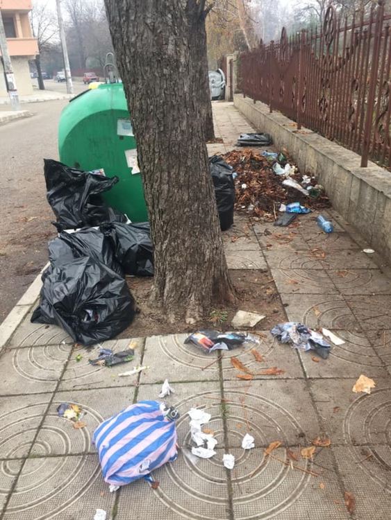 От мрежата: Боклукчийница край Градската градина