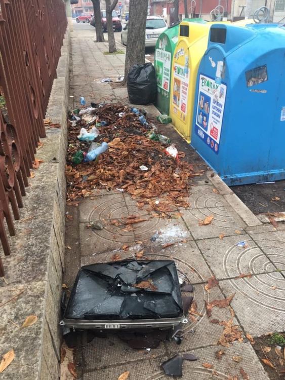 От мрежата: Боклукчийница край Градската градина