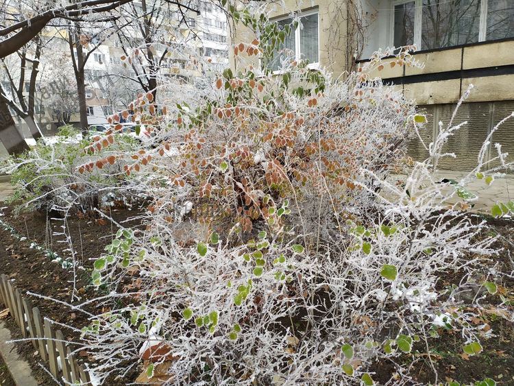 Студено утро, през деня променлива облачност в Кърджали