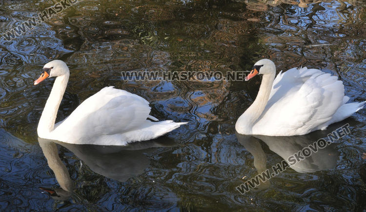 Хасковският зоопарк готов за зимата, вече е с нова детска площадка