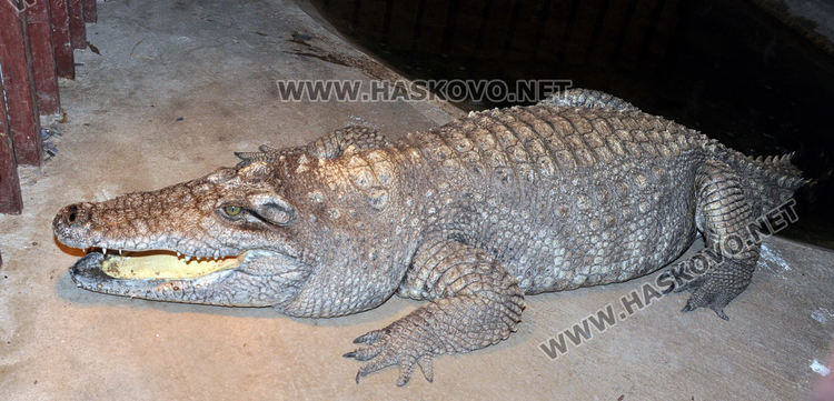 Хасковският зоопарк готов за зимата, вече е с нова детска площадка