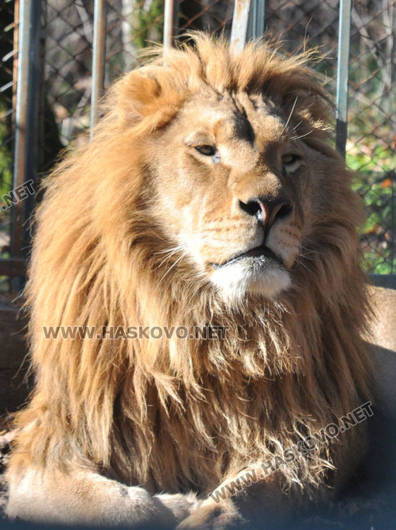 Хасковският зоопарк готов за зимата, вече е с нова детска площадка