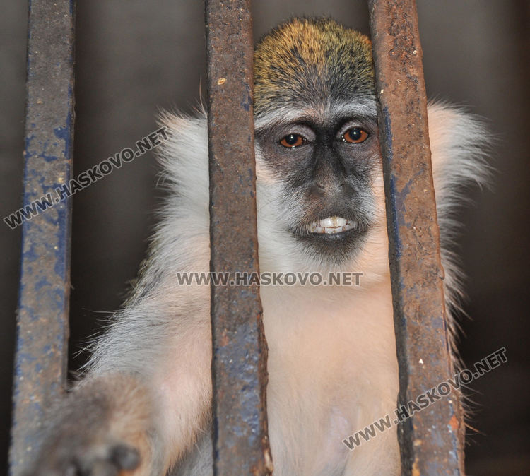 Хасковският зоопарк готов за зимата, вече е с нова детска площадка