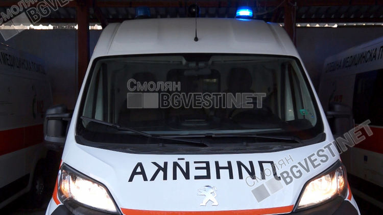 "Ауди" се удари в дърво на пътя за Пампорово, 35-годишен се отърва на косъм 