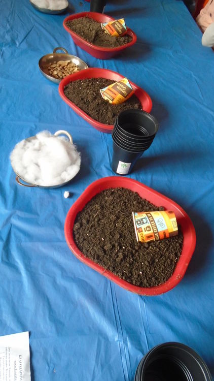 Деца посадиха семена на дръвчета по повод Международния ден на планините