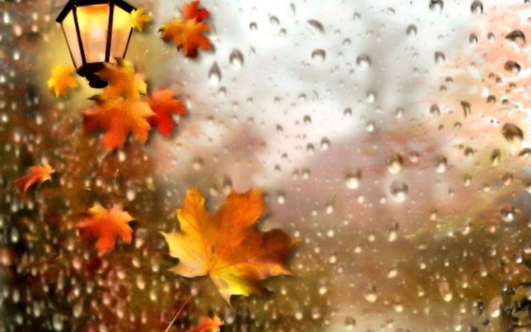 Облачно, слаби превалявания от дъжд