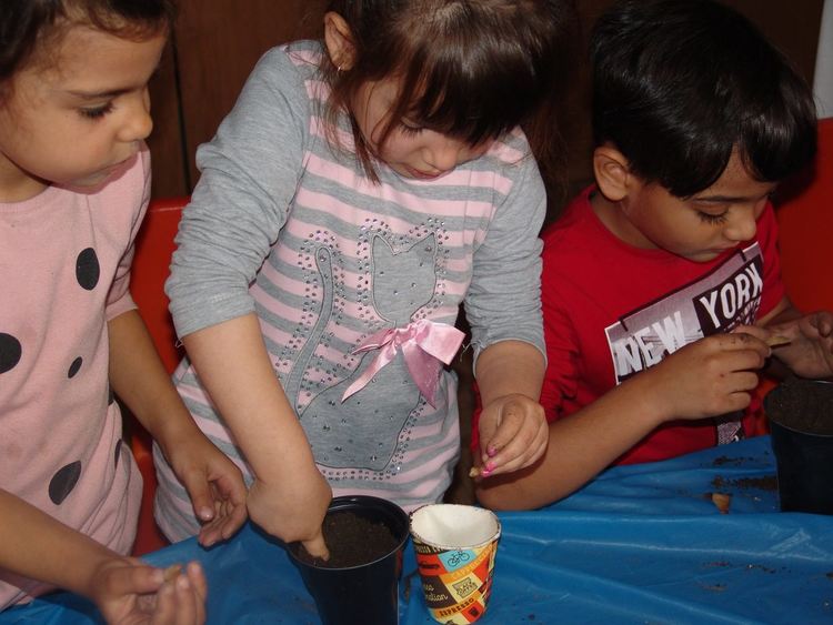 Деца посадиха семена на дръвчета по повод Международния ден на планините