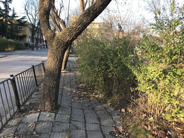 Общински съветник от ГЕРБ пита кмета,кога ще ремонтира тротоарите в кв."Студен кладенец"