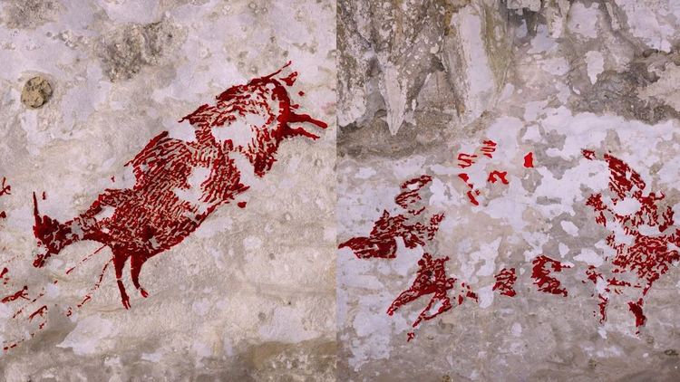 Най-ранната рисунка на ловна сцена е на 44 000 години (видео)