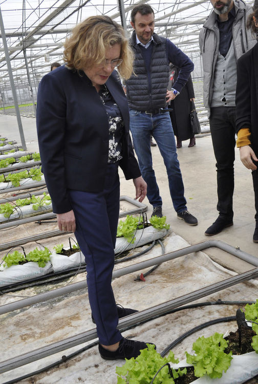Френската посланичка ахна от оранжерията с минерална вода в Баните