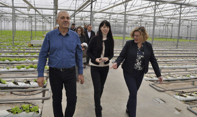 Френската посланичка ахна от оранжерията с минерална вода в Баните