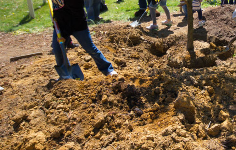 "Гора на Живота" ще расте до зала "Асеновец"