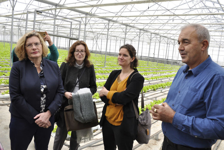 Френската посланичка ахна от оранжерията с минерална вода в Баните