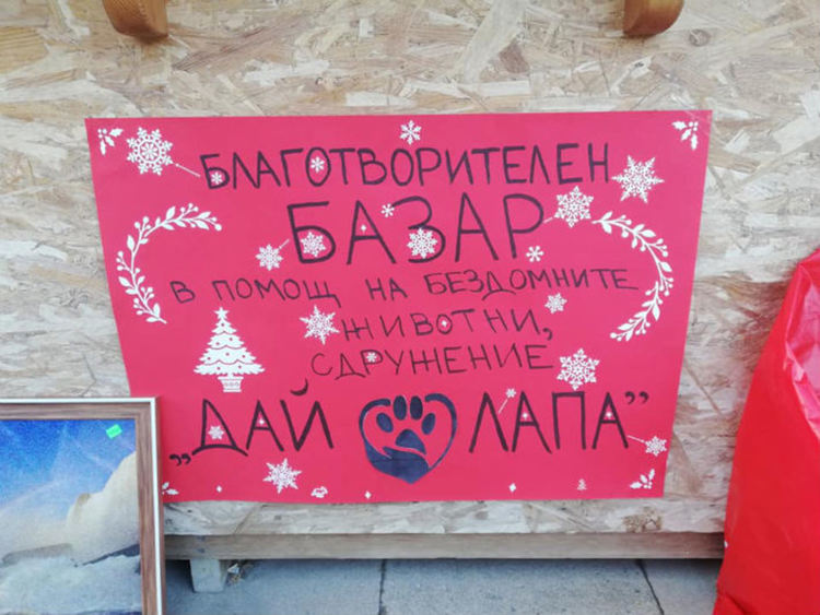 Благотворителност и за животните: "ДАЙ ЛАПА" с базар в Асеновград