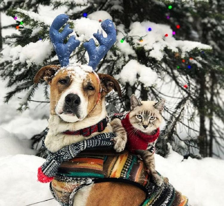 Топъл декемврийски вторник