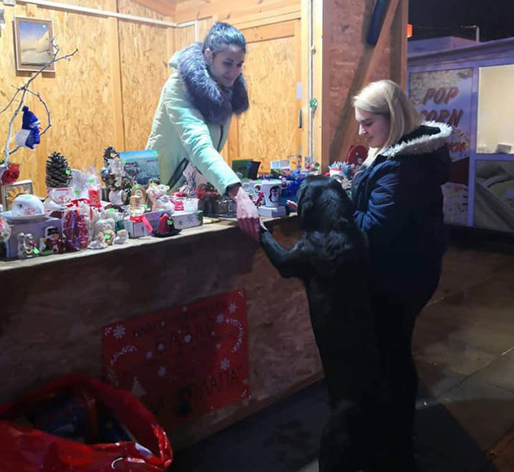 Благотворителност и за животните: "ДАЙ ЛАПА" с базар в Асеновград