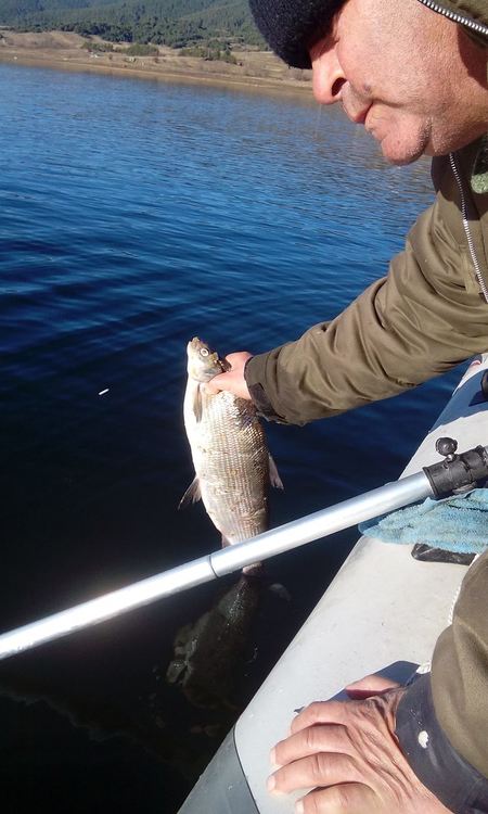 Извадиха 100 метра бракониерски мрежи с риба от водите на яз. "Доспат"